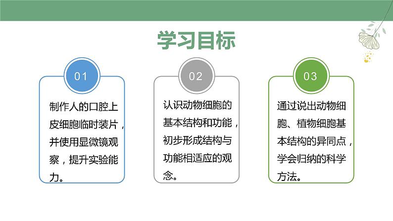 【人教版】七上生物  1.2.3 动物细胞（课件+练习）02