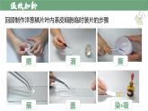 【人教版】七上生物  1.2.3 动物细胞（课件+练习）