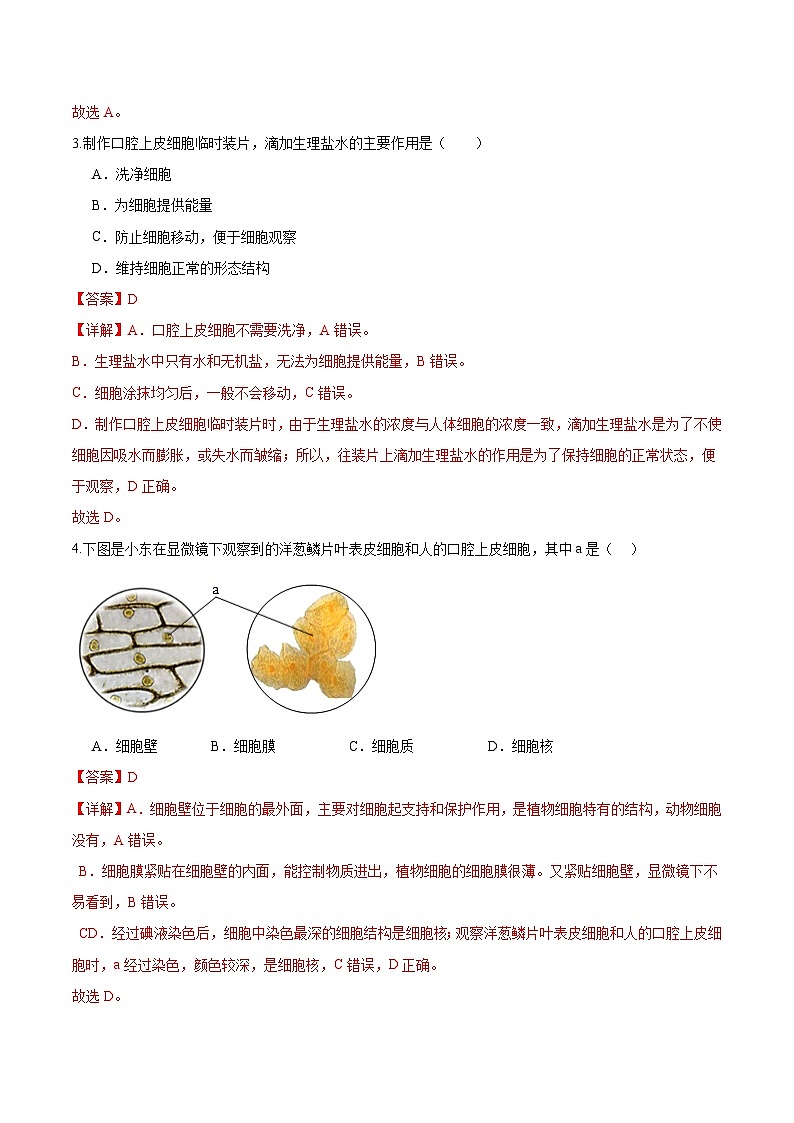 【人教版】七上生物  1.2.3 动物细胞（课件+练习）02