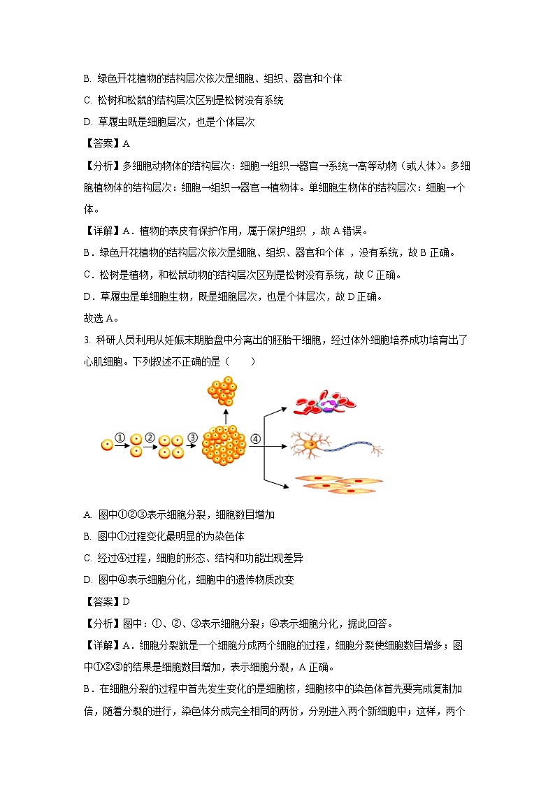 [生物]2024年湖南省湘西州吉首市初中学业水平考试模拟(一)试题(解析版)第2页