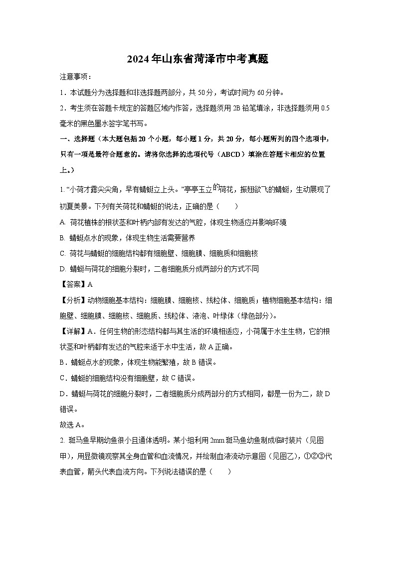 [生物]2024年山东省菏泽市中考真题(解析版)01