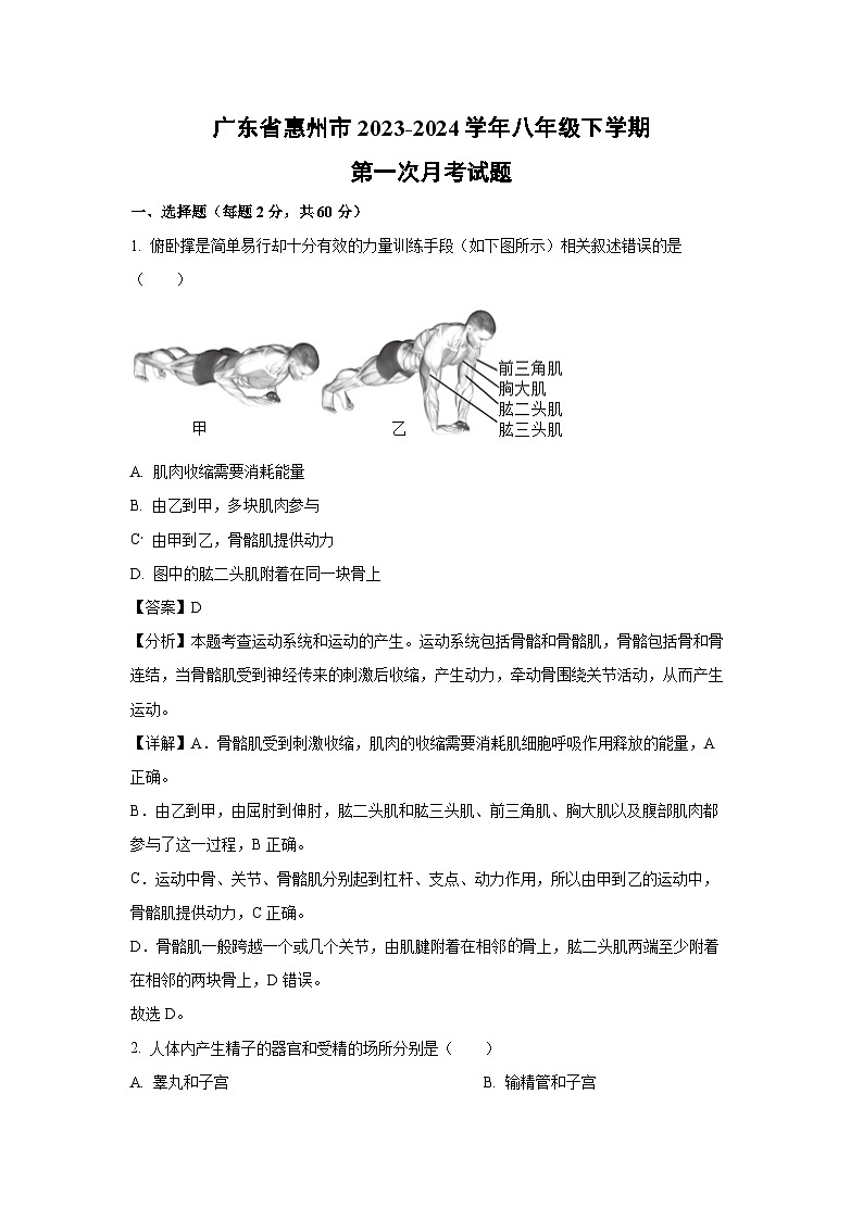 [生物]广东省惠州市2023-2024学年八年级下学期第一次月考试题(解析版)01