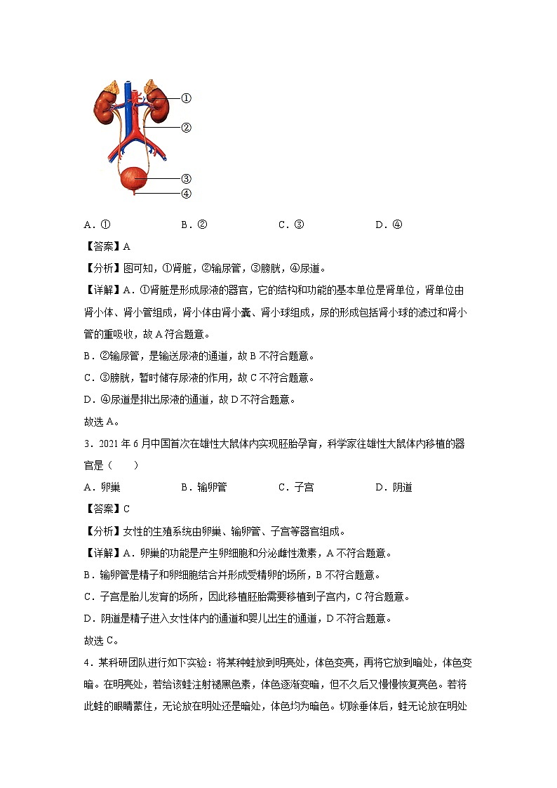 [生物]卷10-[临考满分]2024年中考临考满分模拟卷(广东省卷)(解析版)第2页