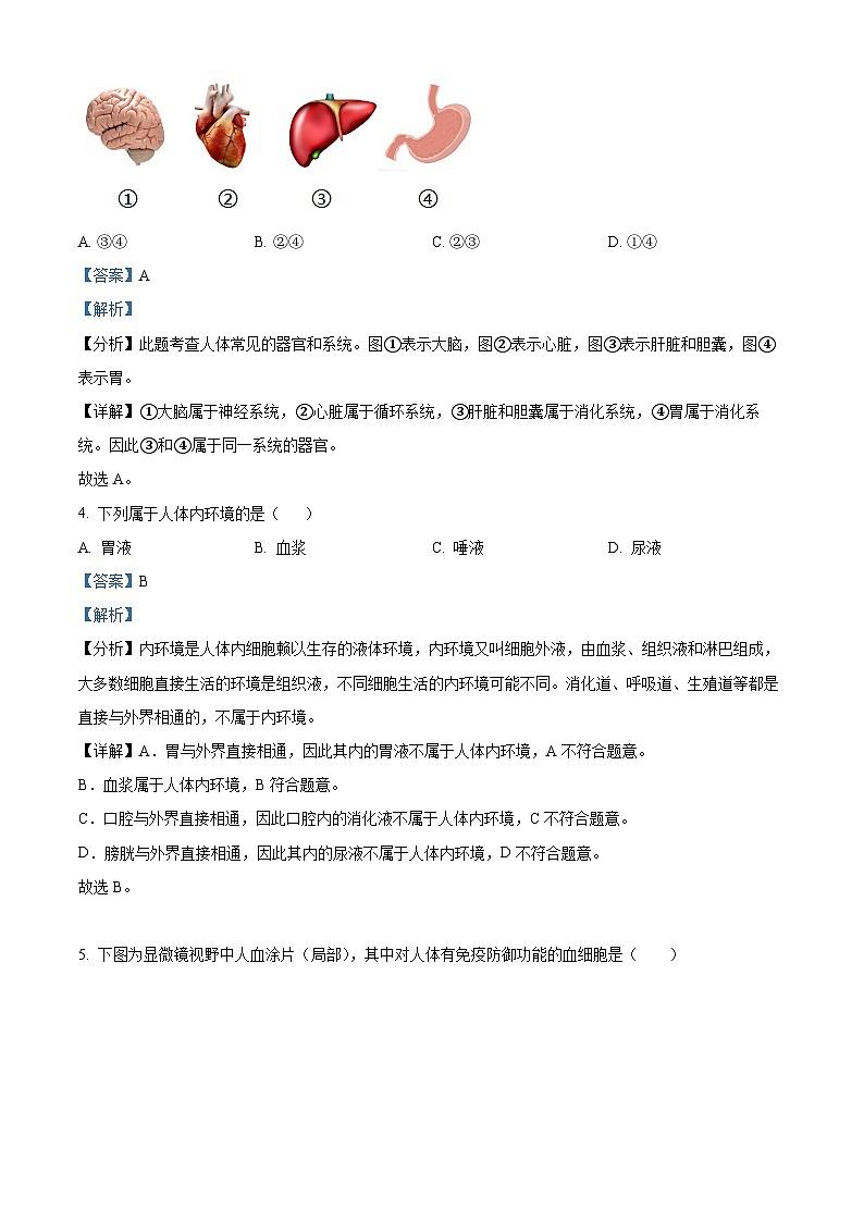 2024年上海市中考真题生物试题02