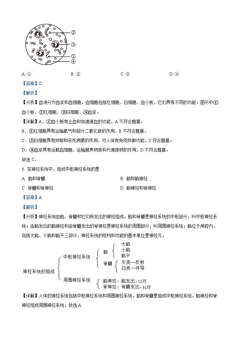 2024年上海市中考真题生物试题03