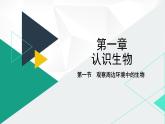 人教版（2024版）七年级生物上册课件 1.1.1 观察周边环境中的生物