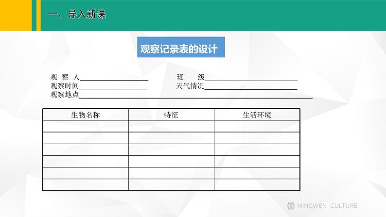 人教版（2024版）七年级生物上册课件 1.1.1 观察周边环境中的生物07