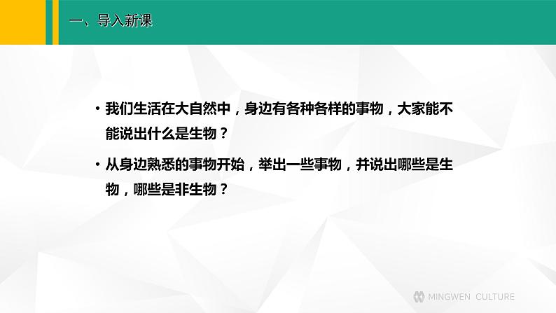 人教版（2024版）七年级生物上册课件 1.1.2 生物的特征03