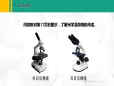 人教版（2024版）七年级生物上册课件 1.2.1 学习使用显微镜