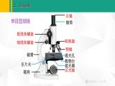人教版（2024版）七年级生物上册课件 1.2.1 学习使用显微镜