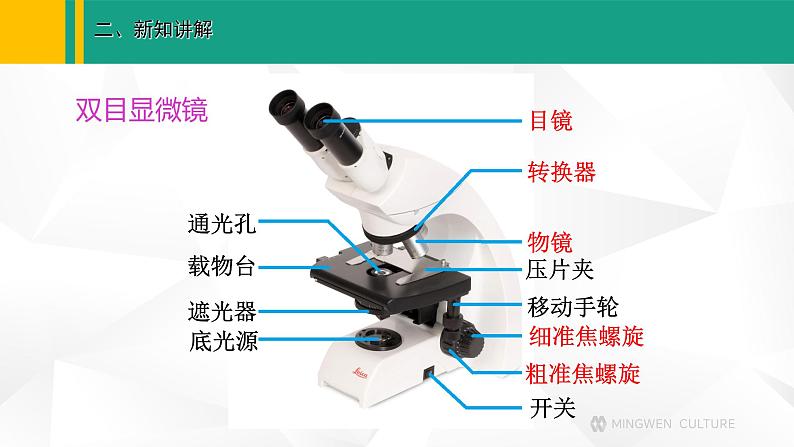 人教版（2024版）七年级生物上册课件 1.2.1 学习使用显微镜05