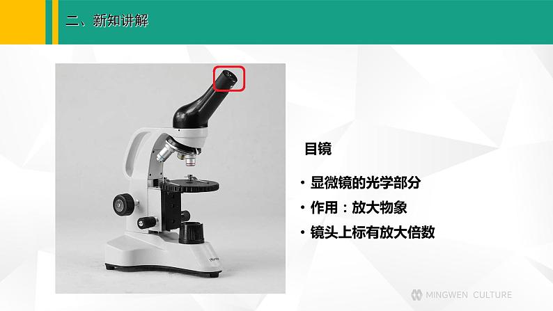 人教版（2024版）七年级生物上册课件 1.2.1 学习使用显微镜06