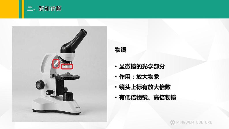 人教版（2024版）七年级生物上册课件 1.2.1 学习使用显微镜07