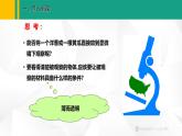人教版（2024版）七年级生物上册课件 1.2.2 植物细胞