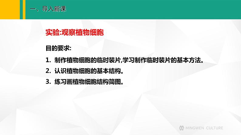 人教版（2024版）七年级生物上册课件 1.2.2 植物细胞03