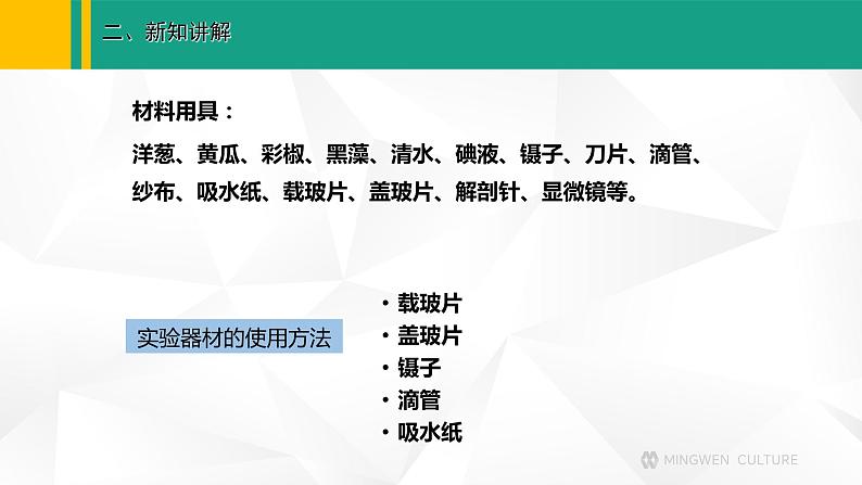 人教版（2024版）七年级生物上册课件 1.2.2 植物细胞04