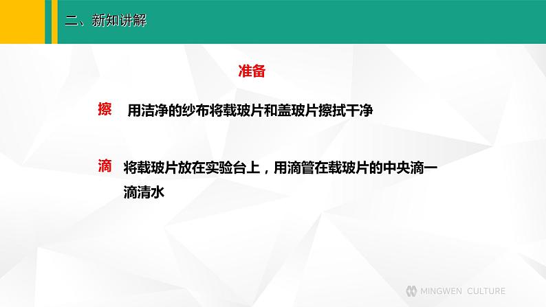 人教版（2024版）七年级生物上册课件 1.2.2 植物细胞06