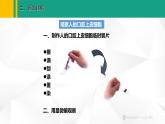 人教版（2024版）七年级生物上册课件 1.2.3 动物细胞