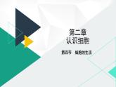 人教版（2024版）七年级生物上册课件 1.2.4 细胞的生活