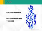 人教版（2024版）七年级生物上册课件 1.2.4 细胞的生活