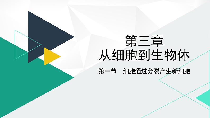 人教版（2024版）七年级生物上册课件 1.3.1 细胞通过分裂产生新细胞01