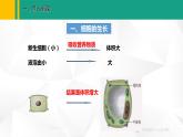 人教版（2024版）七年级生物上册课件 1.3.1 细胞通过分裂产生新细胞