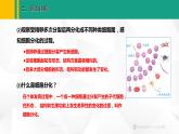 人教版（2024版）七年级生物上册课件 1.3.2 动物体的结构层次
