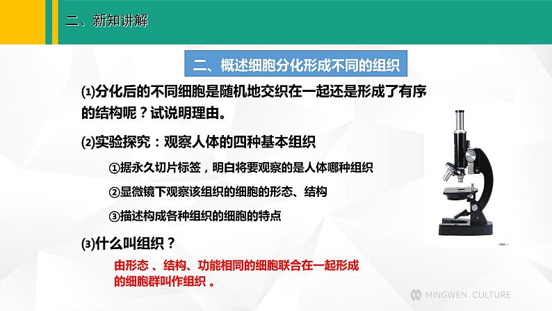 人教版（2024版）七年级生物上册课件 1.3.2 动物体的结构层次06