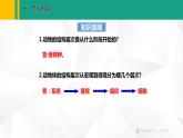 人教版（2024版）七年级生物上册课件 1.3.3  植物体的结构层次