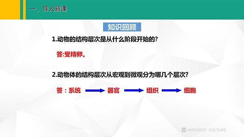 人教版（2024版）七年级生物上册课件 1.3.3  植物体的结构层次02