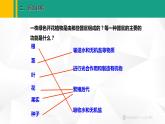 人教版（2024版）七年级生物上册课件 1.3.3  植物体的结构层次
