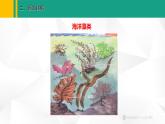 人教版（2024版）七年级生物上册课件 2.1.1  藻类、苔藓和蕨类植物