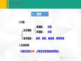 人教版（2024版）七年级生物上册课件 2.1.1  藻类、苔藓和蕨类植物