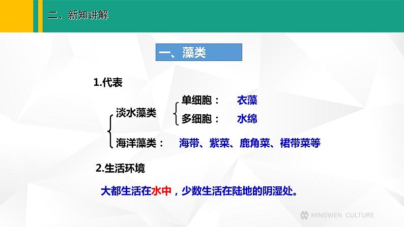 人教版（2024版）七年级生物上册课件 2.1.1  藻类、苔藓和蕨类植物05