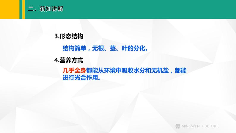 人教版（2024版）七年级生物上册课件 2.1.1  藻类、苔藓和蕨类植物07