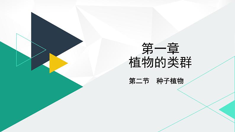 人教版（2024版）七年级生物上册课件 2.1.2  种子植物01