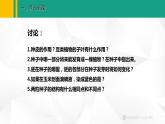 人教版（2024版）七年级生物上册课件 2.1.2  种子植物