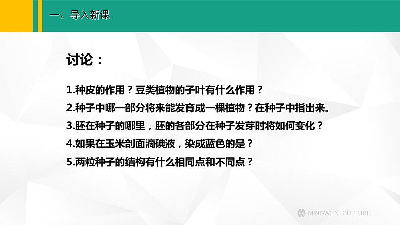 人教版（2024版）七年级生物上册课件 2.1.2  种子植物04