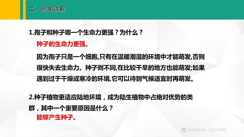 人教版（2024版）七年级生物上册课件 2.1.2  种子植物08