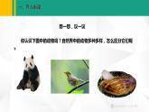 人教版（2024版）七年级生物上册课件 2.2.1  无脊椎动物