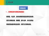 人教版（2024版）七年级生物上册课件 2.2.1  无脊椎动物