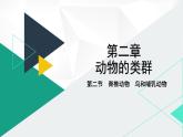 人教版（2024版）七年级生物上册课件 2.2.2  脊椎动物   三、鸟和哺乳动物