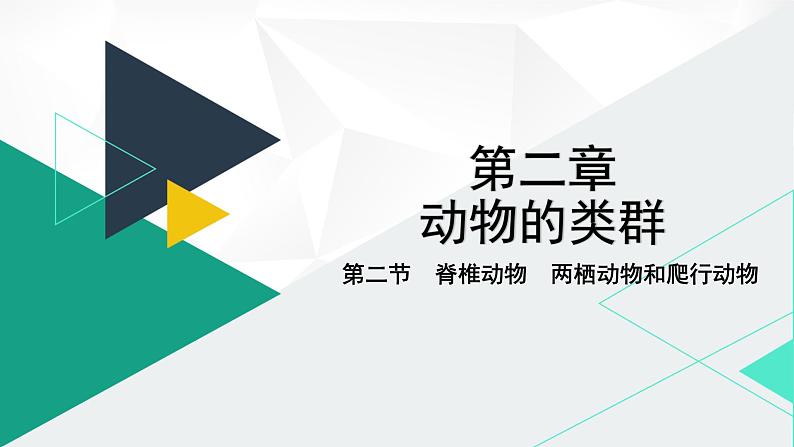 人教版（2024版）七年级生物上册课件 2.2.2  脊椎动物   二、两栖动物和爬行动物01