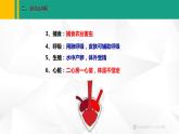 人教版（2024版）七年级生物上册课件 2.2.2  脊椎动物   二、两栖动物和爬行动物