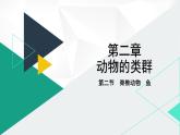 人教版（2024版）七年级生物上册课件 2.2.2  脊椎动物  一、鱼