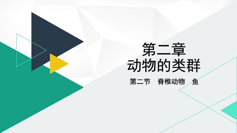 人教版（2024版）七年级生物上册课件 2.2.2  脊椎动物  一、鱼01