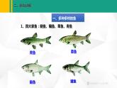 人教版（2024版）七年级生物上册课件 2.2.2  脊椎动物  一、鱼