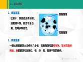 人教版（2024版）七年级生物上册课件 2.3.1  微生物的分布