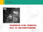 人教版（2024版）七年级生物上册课件 2.3.2  细菌