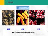人教版（2024版）七年级生物上册课件 2.3.2  细菌